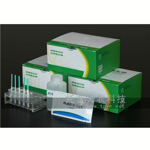 轉(zhuǎn)基因快速檢測試紙(抗蟲)